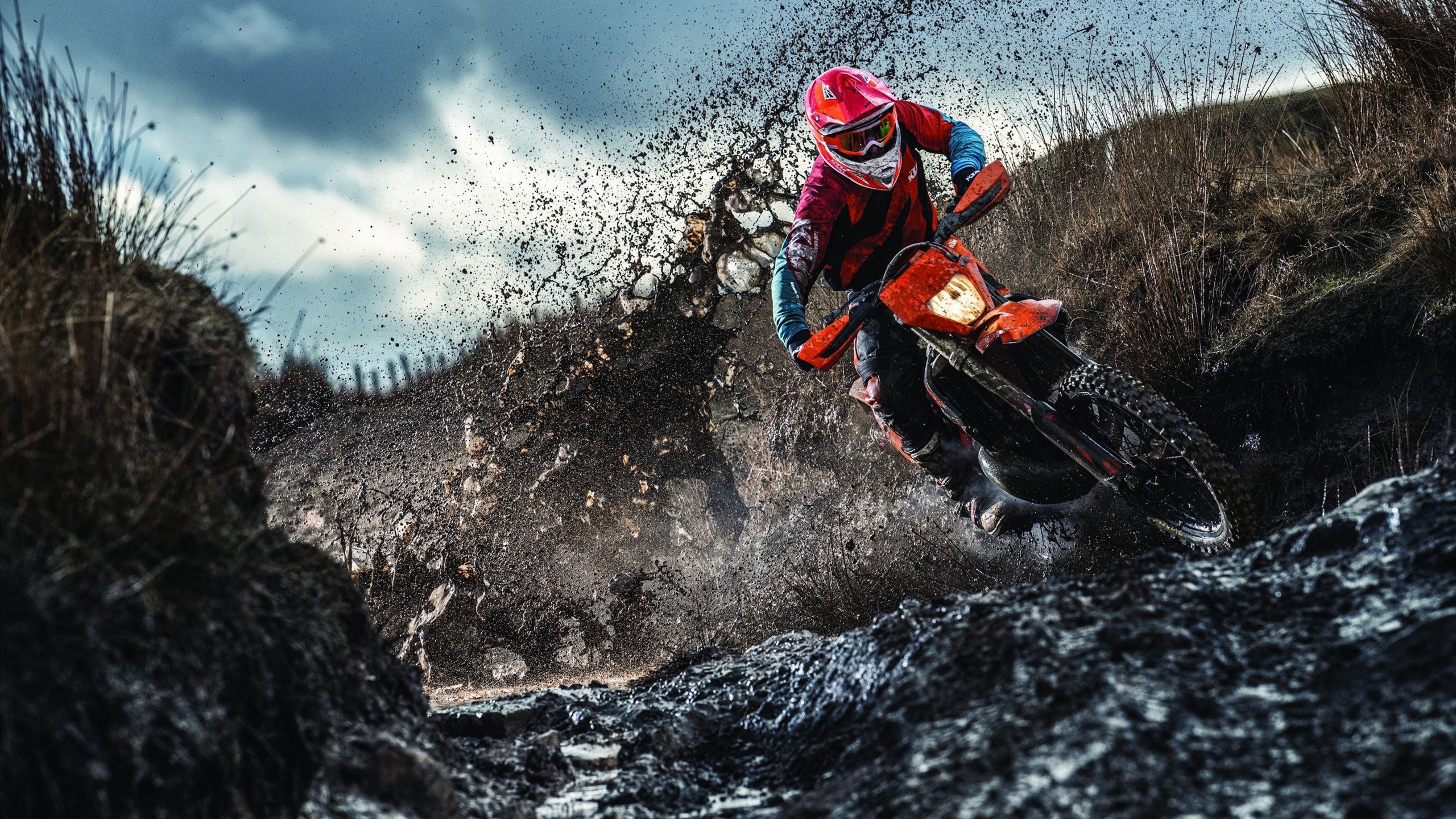 华体会hth备用地址最新-光明记忆“未来战士”年度冠军争夺战正式开启，未来战士百科